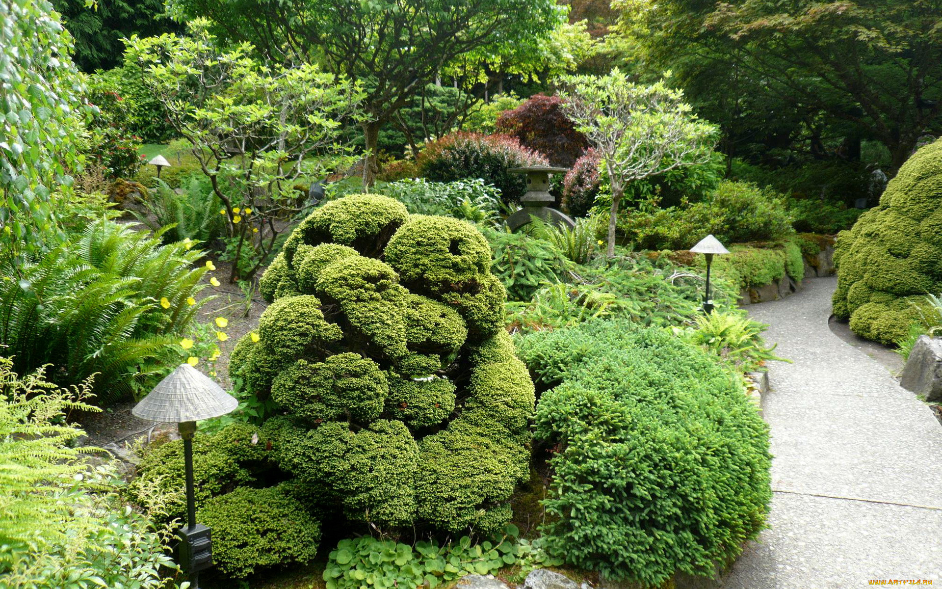 , , , japanese, garden, , , 